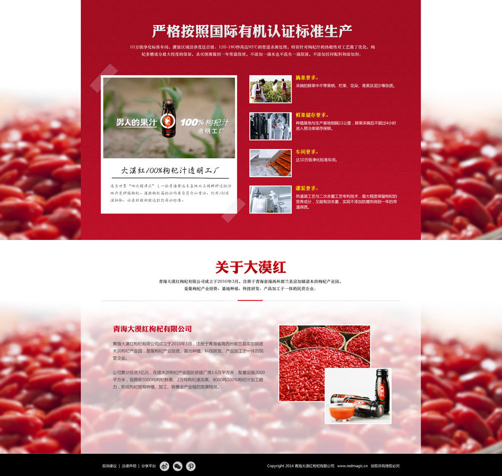 青海大漠紅枸杞網站建設項目